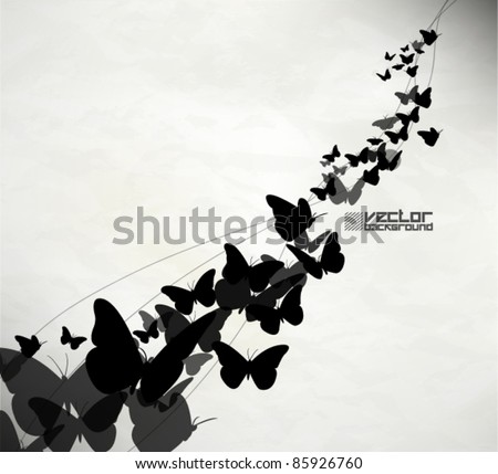 beautiful grunge butterfly vector background