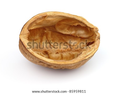 Shell of walnut in closeup Royalty-Free Stock Photo #85959811
