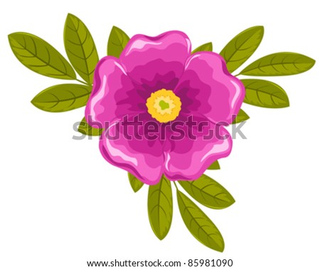 Dogrose flower and leaves. Vector illustration. Isolated on white.