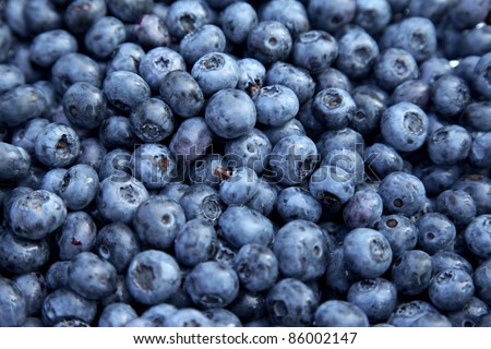Fresh Bilberries. Close-up background. Shallow DOF Royalty-Free Stock Photo #86002147