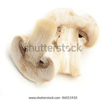 mushroom slice isolated on a white background