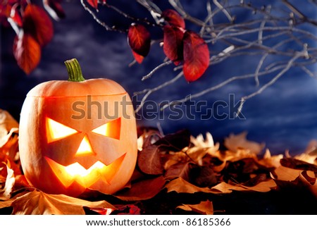 halloween lantern pumpkin  in dark sky clouds moonlight