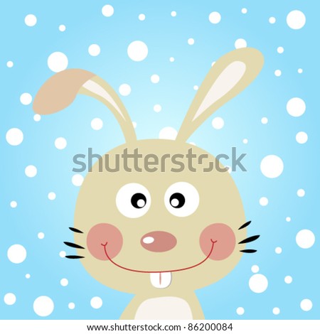 Rabbit with snowy background