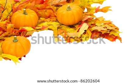 Corner with small pumpkins on colorful leaves
