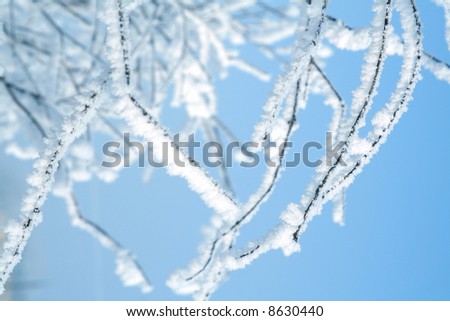 Tree in snow blue toned Royalty-Free Stock Photo #8630440