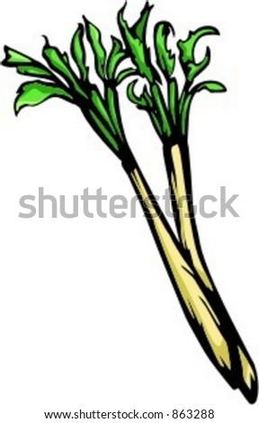 Leek. Check my portfolio for many more images of this series.