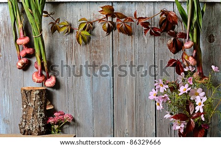abstract blue wood vintage background with ivy and pink flowers
