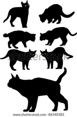 Vector black silhouettes of cats. All objects are separated, the can be scaled or recolored without problems and quality loss.