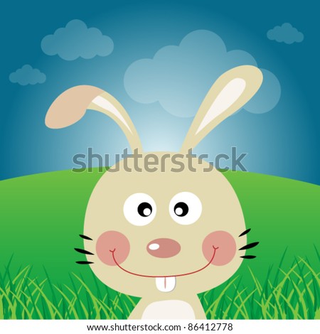 Rabbit in the forest