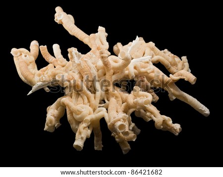 some light brown serpulid worm tubes in black back Royalty-Free Stock Photo #86421682
