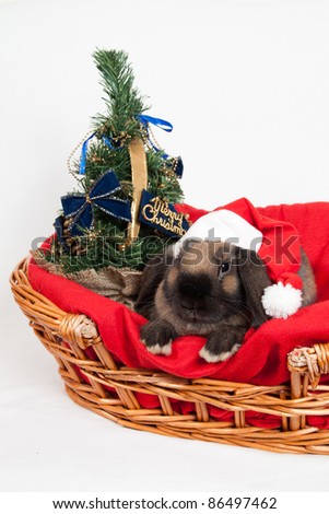 Christmas bunny in a basket on the tree