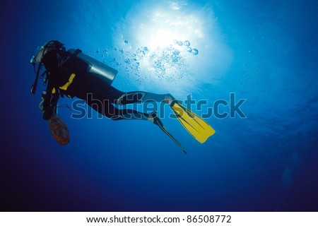 Scuba diver actions underwater