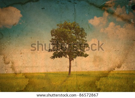 vintage  of Field with green grass and tree