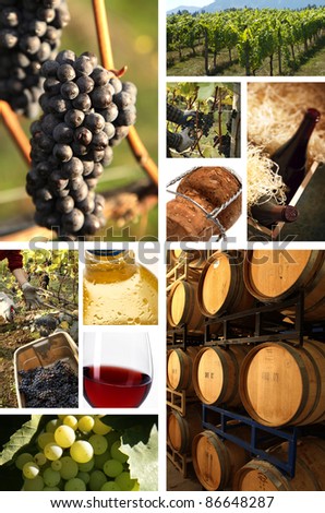 collage of wine pictures