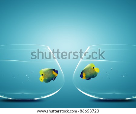 Two Angelfish in Two bowls, Concept for missing, Divorce and Incapacity