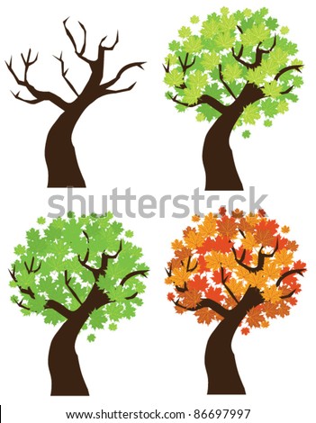 vector season maple trees