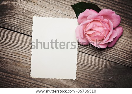 Blank old photo near pink rose on wooden background