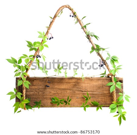 wooden sign entwined with grapes isolated on white background
