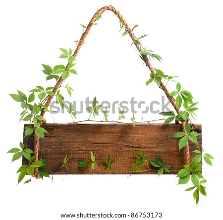 wooden sign with branches vineyard, isolated on white background