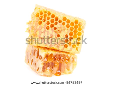 honeycomb on a white background