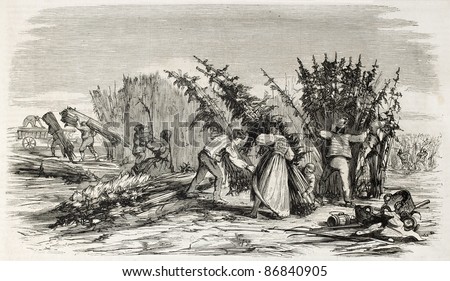 Hemp harvesting on Rhine bank. Created by Lallemand, published on L'Illustration, Journal Universel, Paris, 1860