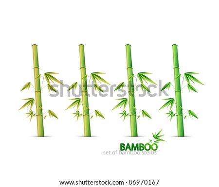 Bamboo stems. Vector collection
