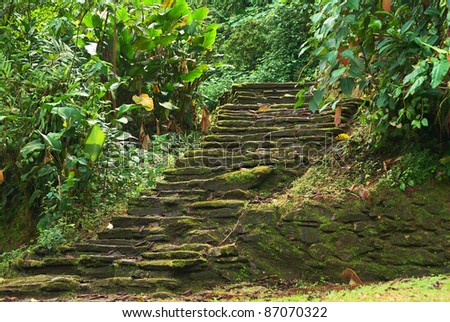Old stone stairs in Ciudad Perdida (Lost City), built by the people of Tayrona. This archeological site is close to Santa Marta in the Sierra Nevada, Northern Colombia.