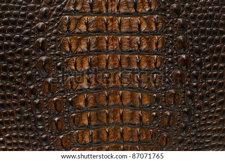 Gold Freshwater crocodile bone skin texture background. Royalty-Free Stock Photo #87071765