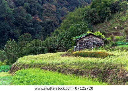 Farm surrounded by green fields - Nepal, Himalayas