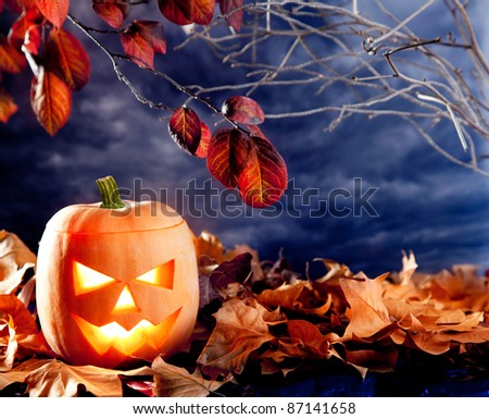 halloween lantern pumpkin  in dark sky clouds moonlight