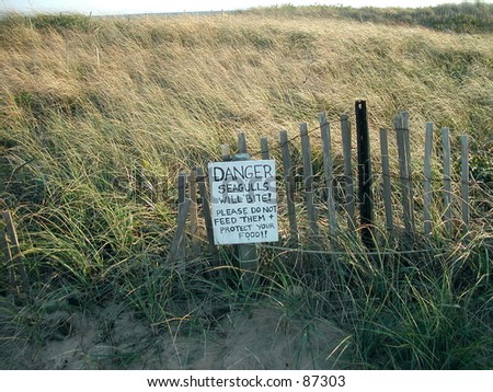 seagulls will bite sign on a beach