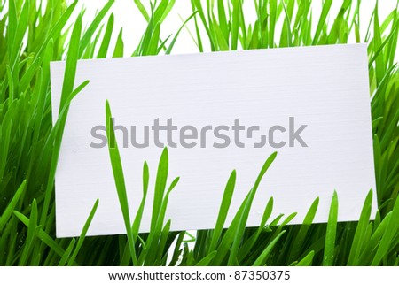 Rectangular white sign amongst fresh green grass blades