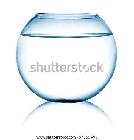 close up view of  a fish bowl on white background