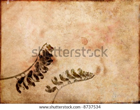 beautiful brown background image with interesting texture, floral elements and plenty of space for text