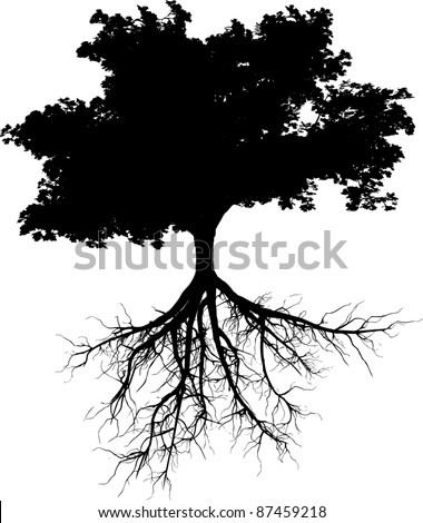 Silhouettes of tree with its roots