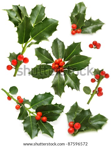 Christmas holly set - green leaf, red berry and twig Royalty-Free Stock Photo #87596572