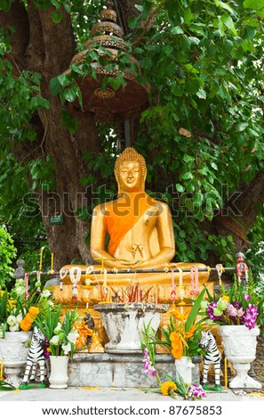 Statue of Buddha in Thailand
