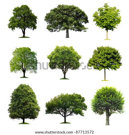 Trees Collection Royalty-Free Stock Photo #87713572