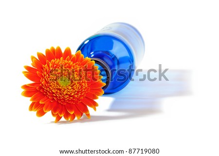 Orange gerbera flower in blue bottle throwing a shadow on a white background