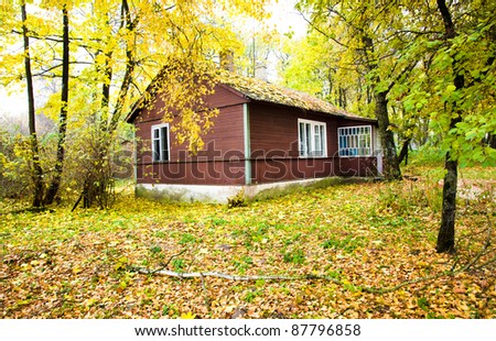 The wooden one-storeyed house which is in wood (in an autumn season)