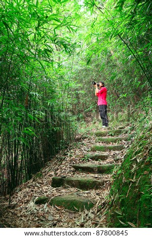 photographer taking photo in bamboo path