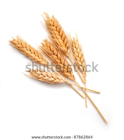 Wheat ears isolated on white background Royalty-Free Stock Photo #87862864
