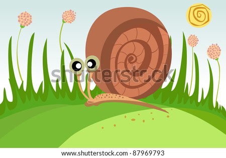 Snail on a green glade