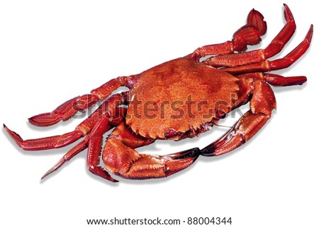 A red small crabs