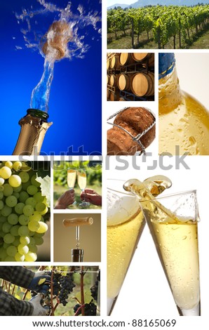 collage of champagne pictures