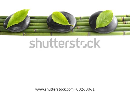 Row of stones with fresh leaf on bamboo grove