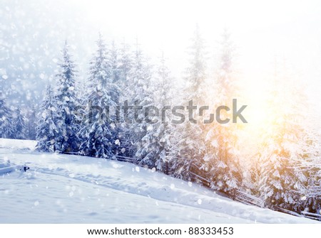 Beautiful winter landscape with snow covered trees Royalty-Free Stock Photo #88333453