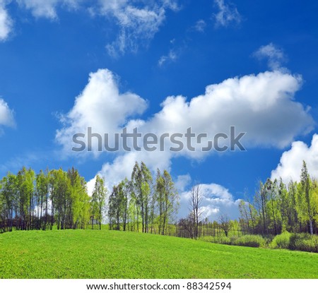 Summer landscape, green grass and blue sky