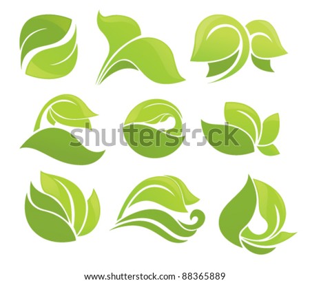 vector collection of leaves growing plants and nature elements