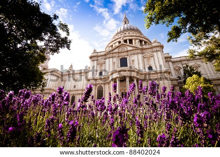St Paul's Cathedral, London in the springtime, with beautiful lavender bushes in the foreground. Daytime. Landscape orientation. Royalty-Free Stock Photo #88402024